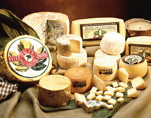 Cantabrian Cheese